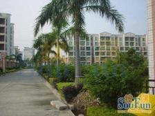 进港大道中 蕉门板块 小面积公寓配套齐全