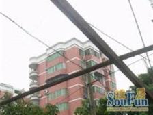 天马新村 3室1厅 南