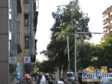 新华路 3室1厅 南