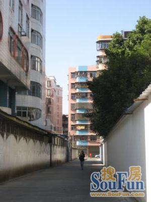 凤华路大院实景图
