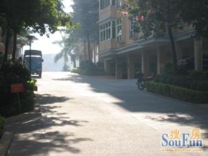 锦鹏苑南北对流厅大房大拎包入住