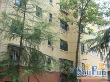 内环内 低楼层 双南大两房,大天井