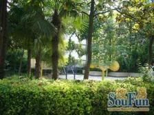 近地铁+中间楼层+双南采光+精装修可拎包入住