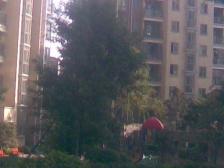 花溪 申烨太阳城一期一房