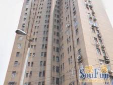 急售!内环内+地铁口50m+电梯房中区+边套双南带阳台