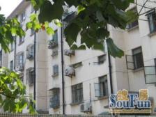 一梯两户中间楼层两房+近14号线地铁嘉怡路地铁口