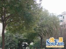 金泰小区2室西朝向380.00万元/套出售