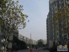 新上!!!内环内全明户型电梯高区大三房,单总价蕞低。