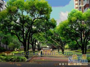 德坤汀城3室1厅南