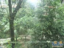 叠翠城 3室2厅 东北