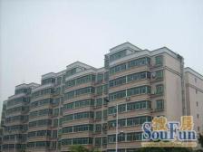 花都湖湿地公园 小户型 三房 要求不高可以直接住的房