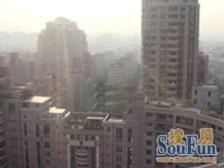 维多利亚大厦2室西南朝向1100.00万元/套出售