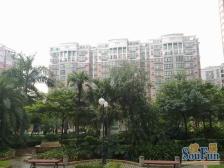 金美花园,高层两房保养好,看花园,户型正!