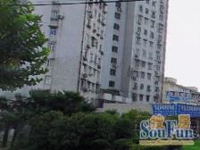 普陀 真西新村 3室1厅 74.95㎡ 405万