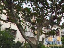 上海火车站·芷江大楼·2室·1厅