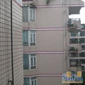 同乐苑 3室2厅 南