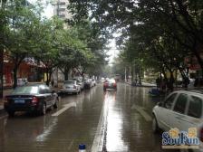 南坪 南坪新街一房