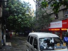 南坪商圈,户型方正,出行方便,双轻轨