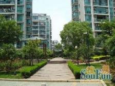 中虹花园顶楼复式,五房朝南厅朝南,有产权车位