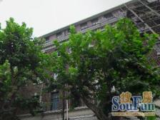 重庆公寓1室北朝向440.00万元/套出售