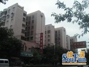 怡景花园3室1厅西南