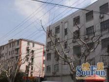 新出精装好房,低楼层,双南带厅,拎包入住,有钥匙看房方便