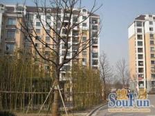 电梯三房,南北通透,12年次新小区,到价收钱