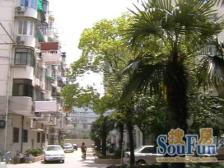 新乐小区 3室1厅 南 北