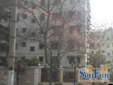 步梯中楼层 出门便利 看房方便 诚意出售