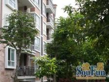 顾村·馨佳园九街坊·1室·1厅