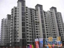 淞南高境 · 三花现代城(二期香梅苑) · 2室 · 2厅