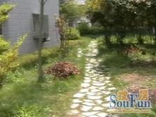 泥城路12弄2室1厅南