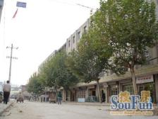 文星村 电梯房 视野开阔 大三室 出售