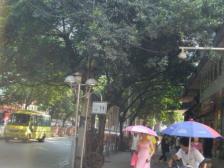 胜利街 精装修 无家电 家具一室 出售