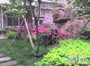 正府街110号3室1厅南北