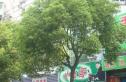 会堂侧路内衣二厂宿舍实景图