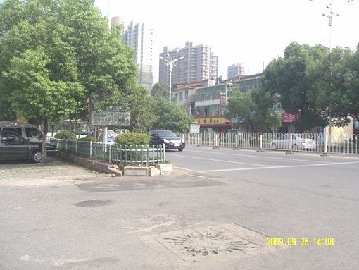 上海新城