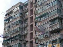 双阳路300弄小区1室南朝向173.00万元/套出售