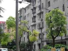 采光充足,视野开阔,交通便利,闹中取静