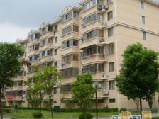 中楼层满五不靠路150平的大三房