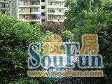 老城东方文都三房45万