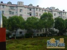 精装40万,三房设计,横厅双楠户型,采光好,满五税少