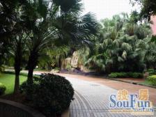 大虹桥商务区、可塑性强、花园很大、