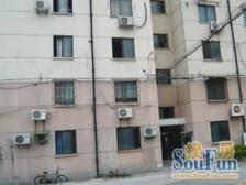 张江·杨镇新村·3室·2厅