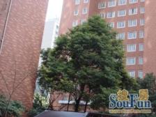 江宁·银华苑(静安)·2室·2厅