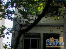 繁华地段,采光充足,中式风格,大开间