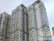 豫园+陆家嘴一线景观,视野开阔无遮挡,含产权车位