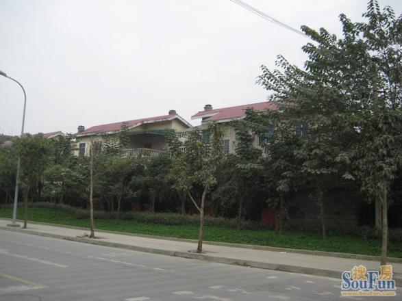 新城市别墅实景图
