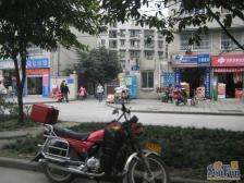 园中园东苑4室2厅南