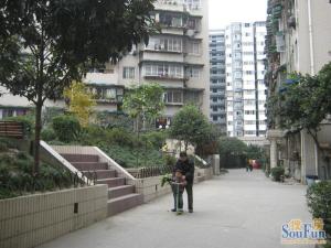 园中园东苑2室1厅南北